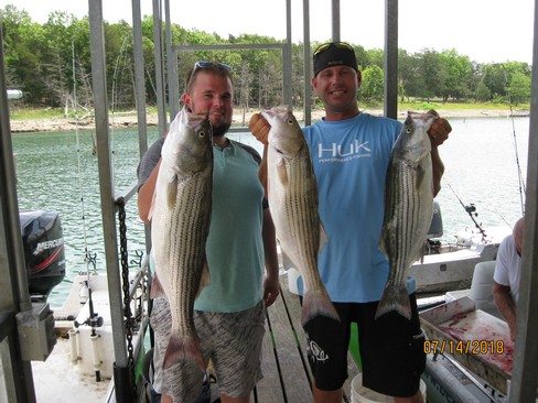 Nice Striped Bass